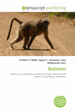 Baboon