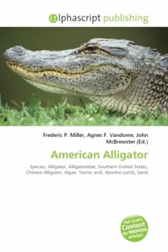 American Alligator