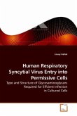 Human Respiratory Syncytial Virus Entry into Permissive Cells