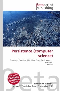 Persistence (computer science)