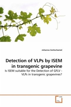 Detection of VLPs by ISEM in transgenic grapevine - Gottschamel, Johanna