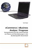 eCommerce / eBusiness Analyse / Prognose