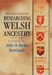 Second Stages in Researching Welsh... - Bild 1
