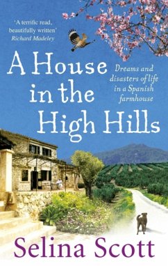 A House in the High Hills - Scott, Selina