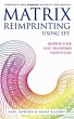 Matrix Reimprinting using EFT - Bild 1