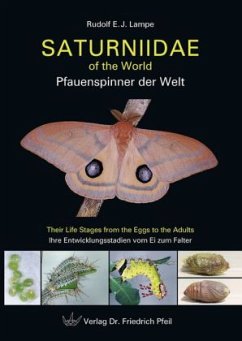 Saturniidae of the World  Pfauenspinner der Welt - Lampe, Rudolf E. J.