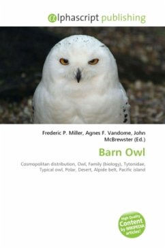 Barn Owl