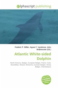 Atlantic White-sided Dolphin