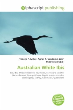 Australian White Ibis