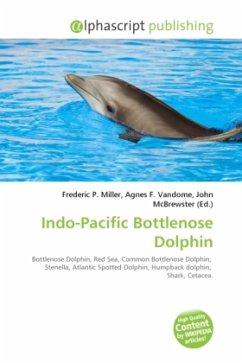 Indo-Pacific Bottlenose Dolphin