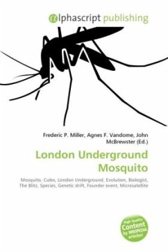 London Underground Mosquito