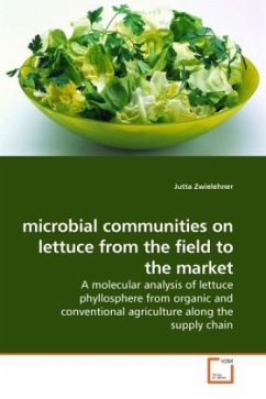 microbial communities on lettuce from the field to the market - Zwielehner, Jutta