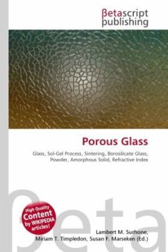 Porous Glass