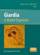 Giardia - Bild 1