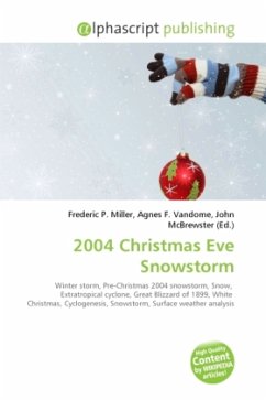 2004 Christmas Eve Snowstorm
