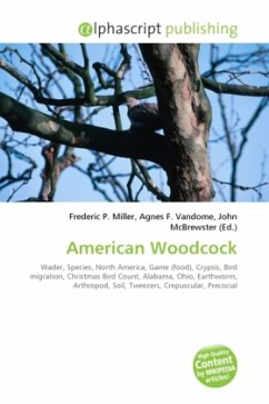 American Woodcock