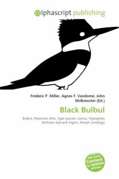 Black Bulbul