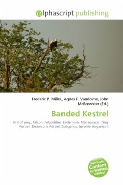 Banded Kestrel