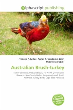 Australian Brush-turkey