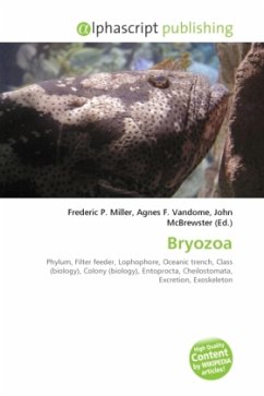 Bryozoa