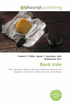 Bank Vole