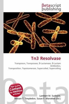 Tn3 Resolvase