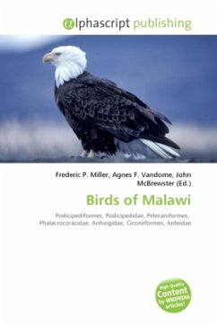 Birds of Malawi