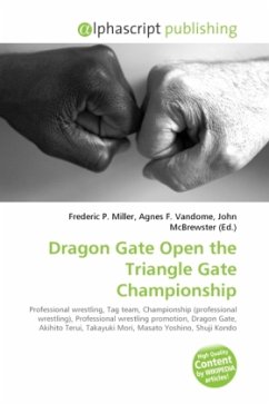 Dragon Gate Open the Triangle Gate Championship