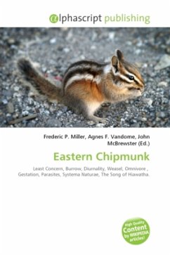 Eastern Chipmunk Eastern Chipmunk