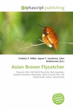 Asian Brown Flycatcher
