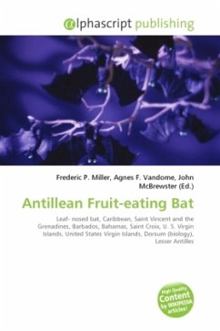 Antillean Fruit-eating Bat