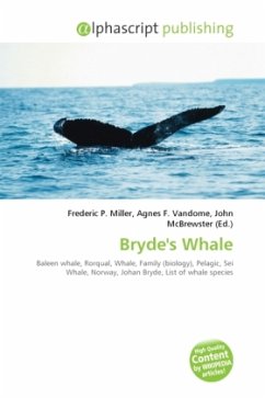 Bryde's Whale