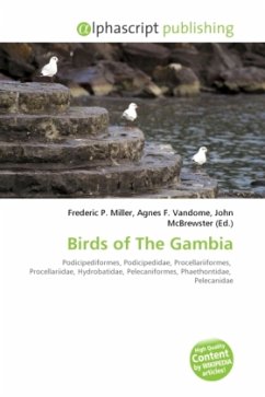 Birds of The Gambia