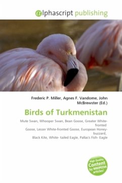 Birds of Turkmenistan