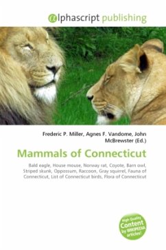 Mammals of Connecticut