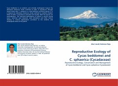 Reproductive Ecology of Cycas beddomei and C. sphaerica (Cycadaceae)