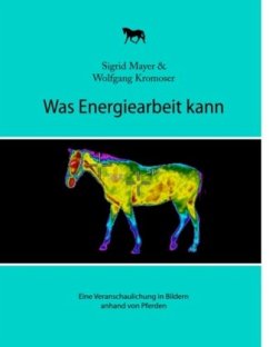 Was Energiearbeit kann - Mayer, Sigrid;Kromoser, Wolfgang