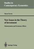 New Issues in the Theory of Investment