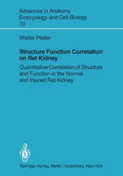 Structure Function Correlation on Rat Kidney - Pfaller, Walter