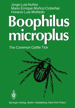 Boophilus Microplus., The common cattle tick.