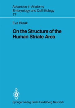 On the Structure of the Human Striate Area - Braak, E.