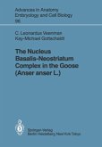 The Nucleus Basalis-Neostriatum Complex in the Goose (Anser anser L.)