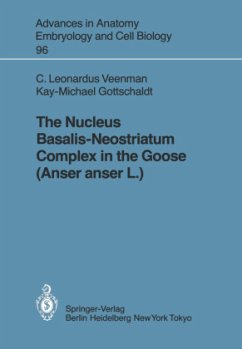 The Nucleus Basalis-Neostriatum Complex in the Goose (Anser anser L.) - Veenman, Cornelis L.; Gottschaldt, Kay-Michael