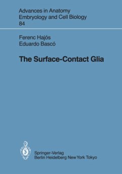 The Surface-Contact Glia - Hajos, F.; Basco, E.