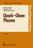Quark¿Gluon Plasma