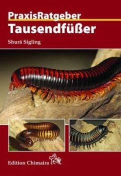 Tausendfüßer - Sigling, Shurá