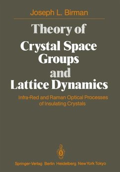 Theory of Crystal Space Groups and Lattice Dynamics - Birman, J. L.