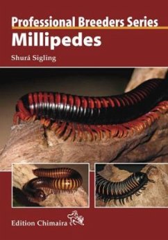 Millipedes - Sigling, Shurá