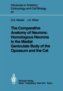 The Comparative Anatomy of Neurons: Homologous Neurons in the Medial Geniculate Body of the Opossum and the Cat - Morest, D. Kent; Winer, Jeffery A.