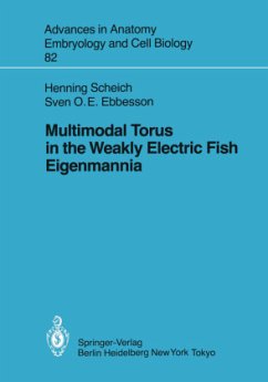 Multimodal Torus in the Weakly Electric Fish Eigenmannia - Scheich, Henning; Ebbesson, Sven O.E.